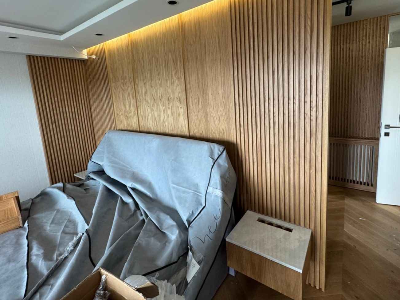 Mojave desert in the dark